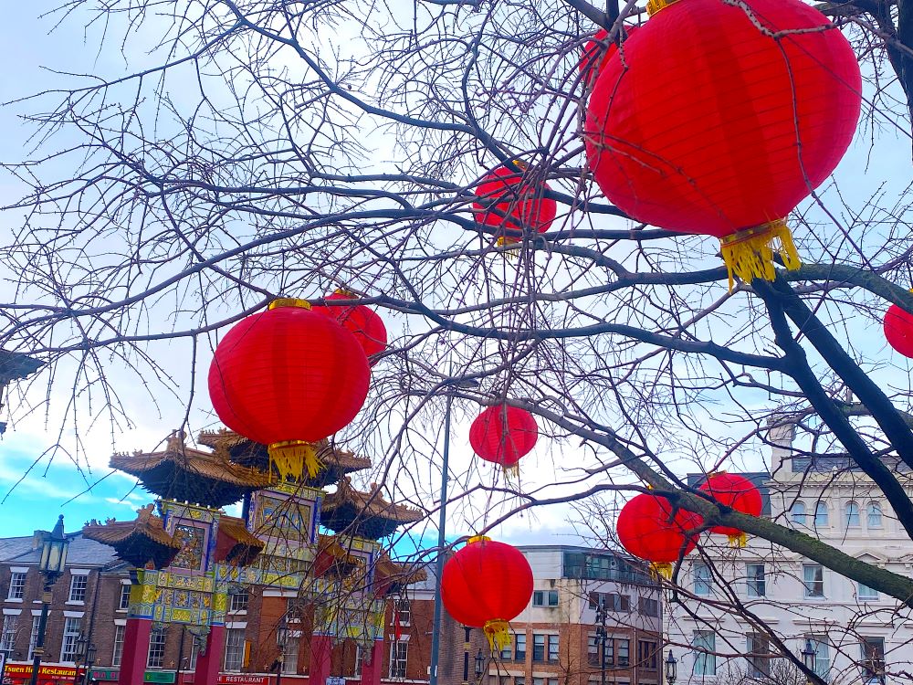 Chinese lanterns hung from trees